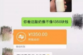 仙桃如果欠债的人消失了怎么查找，专业讨债公司的找人方法